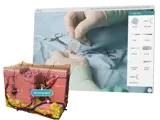 SIMTICS simulation tool selector and a 3D anatomy model