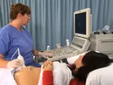 Second and Third Trimesters Ultrasound Assessment