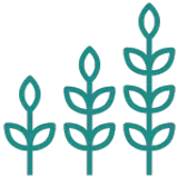 Icon of a plant in three stages of growth